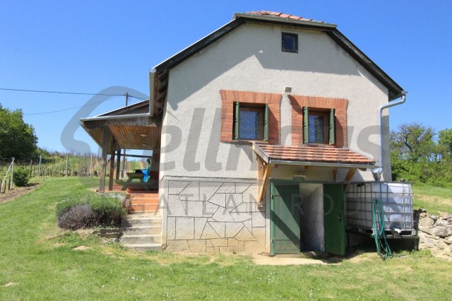 Eladó mezogazdasagi ingatlan, Gércén 14.99 M Ft