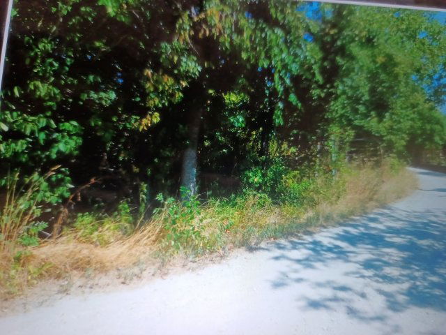 Eladó telek, Vácon 33.9 M Ft / költözzbe.hu