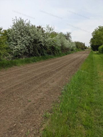 Eladó mezogazdasagi ingatlan, Gárdonyban 8.8 M Ft