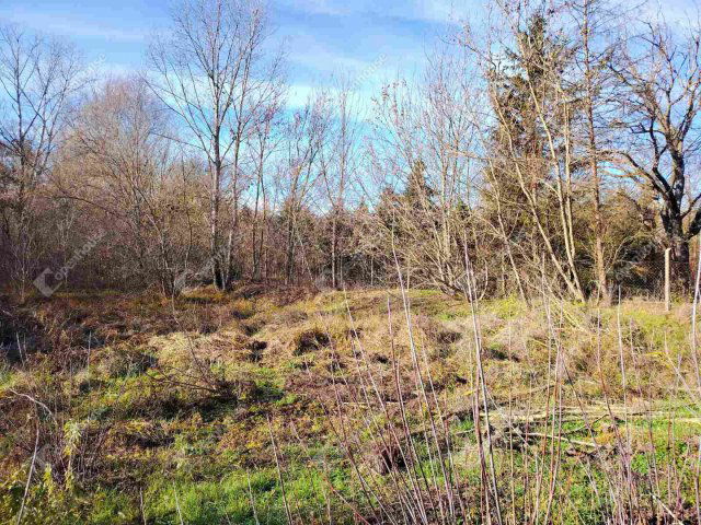 Eladó telek, Székesfehérvárott 58.5 M Ft / költözzbe.hu