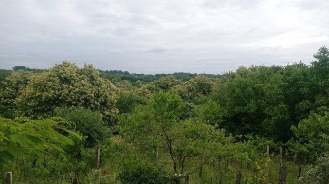 Eladó nyaraló, Zalaújlakon 7.9 M Ft, 3 szobás