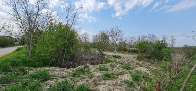Eladó telek, Röszkén 8.2 M Ft / költözzbe.hu