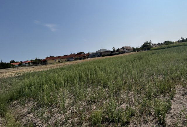 Eladó családi ház, Dabason 85 M Ft, 1 szobás