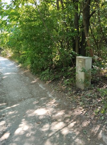 Eladó mezogazdasagi ingatlan, Szentendrén 63 M Ft