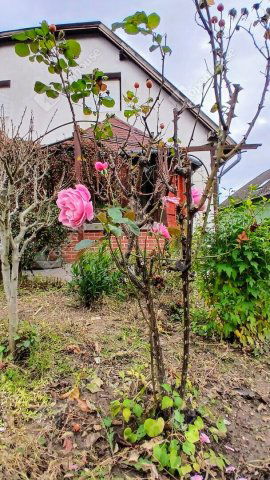 Eladó családi ház, Alsópáhokon 74 M Ft, 3 szobás