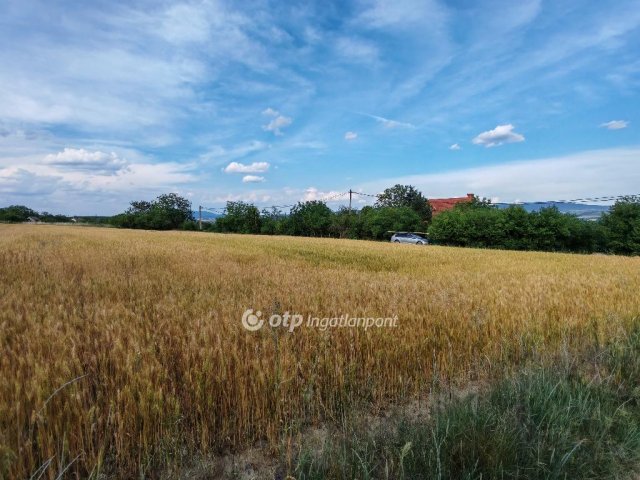 Eladó telek, Tökön 13 M Ft / költözzbe.hu
