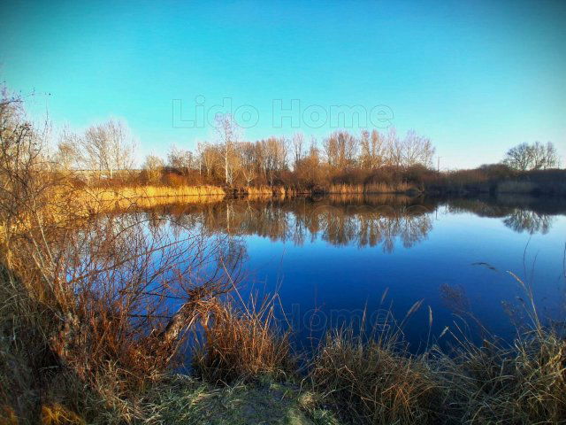 Eladó mezogazdasagi ingatlan, Károlyházán 62 M Ft