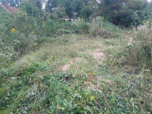 Eladó telek, Karádon 4.5 M Ft / költözzbe.hu