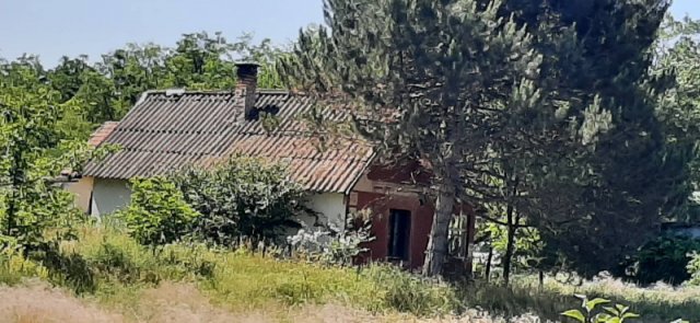 Eladó mezogazdasagi ingatlan, Dabason 16 M Ft