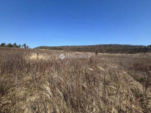 Eladó telek, Pilisborosjenőn 39.9 M Ft / költözzbe.hu