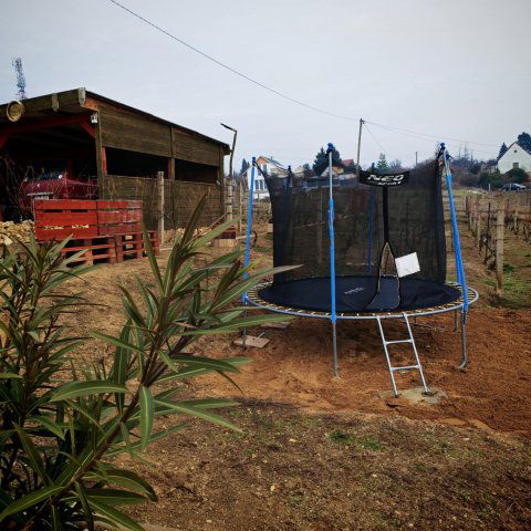 Eladó családi ház, Pécsett 46.9 M Ft, 3 szobás