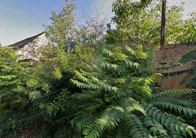 Eladó telek, Kecskeméten 56 M Ft / költözzbe.hu