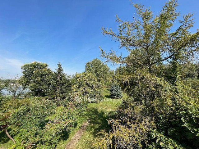 Eladó családi ház, Kiskunlacházán 450 M Ft, 5+1 szobás