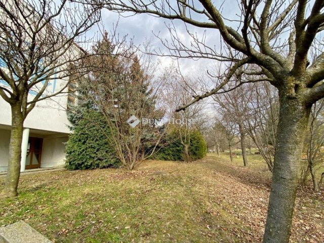 Eladó téglalakás, Kőszegen 74.9 M Ft, 7 szobás