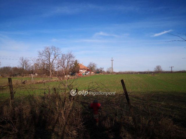 Eladó mezogazdasagi ingatlan, Kecskeméten 39 M Ft