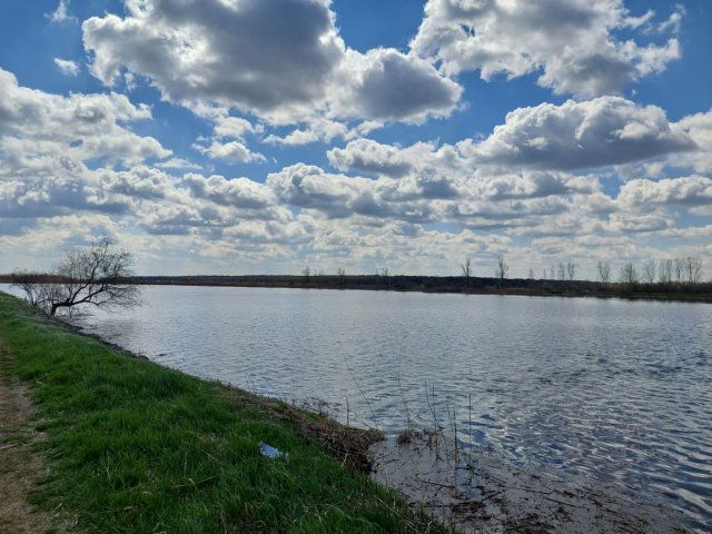 Eladó mezogazdasagi ingatlan, Gyulán 69.5 M Ft