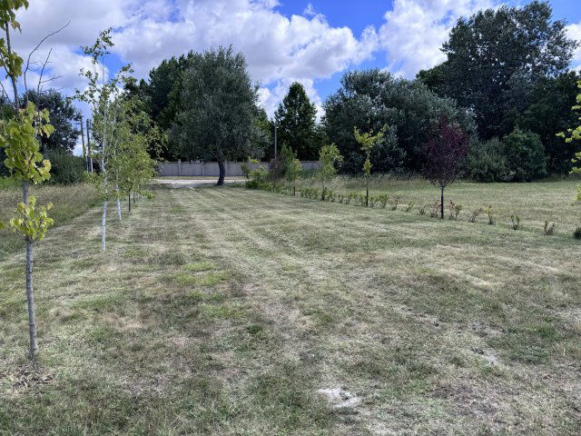 Eladó telek, Dabason 60 M Ft / költözzbe.hu