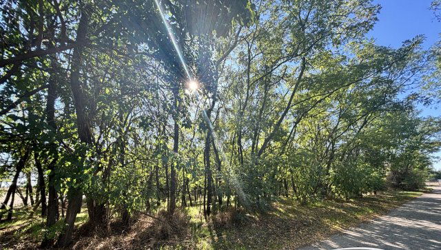 Eladó mezogazdasagi ingatlan, Domaszéken 5.5 M Ft