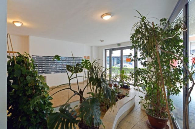 Kiadó iroda, Budapesten, IX. kerületben, Mester utcában