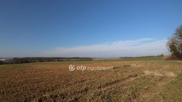 Eladó telek, Nemesbükön 6.5 M Ft / költözzbe.hu