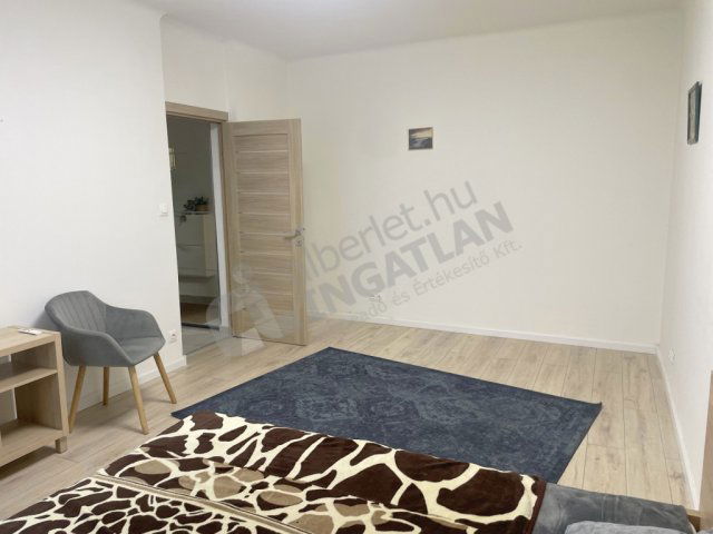 Kiadó panellakás, albérlet, XXI. kerületben, Templom utcában