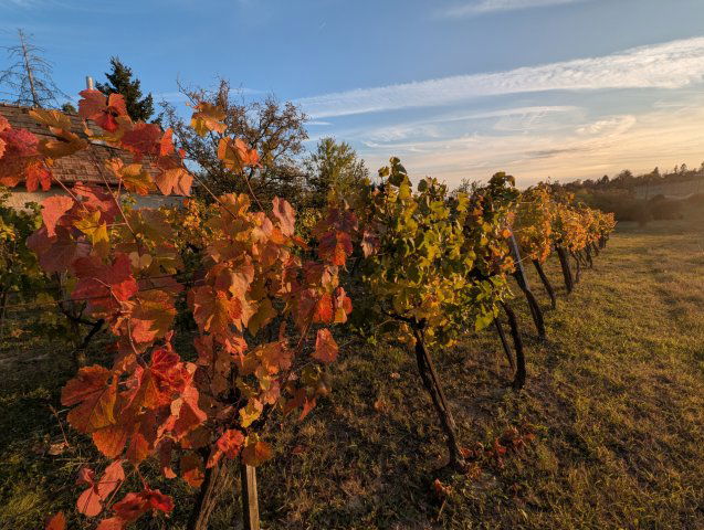 Eladó telek, Balatonkenesén 28 M Ft / költözzbe.hu