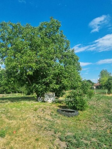 Eladó családi ház, Szalkszentmártonon 18.2 M Ft, 4 szobás