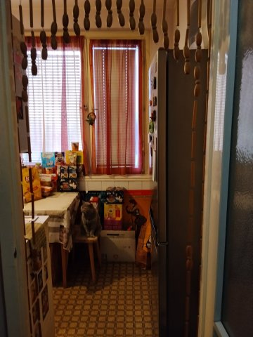 Eladó panellakás, Szegeden 43.85 M Ft, 1+1 szobás