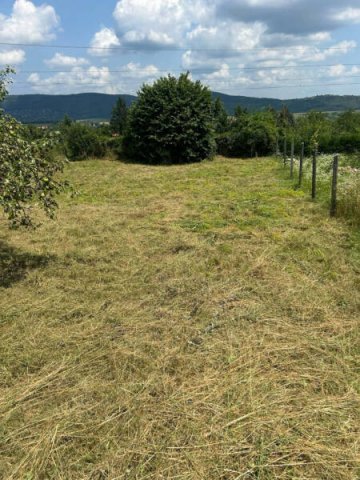 Eladó telek, Pilisvörösváron 79.9 M Ft / költözzbe.hu