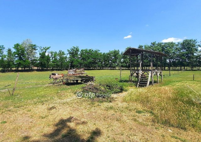 Eladó mezogazdasagi ingatlan, Kiskunfélegyházán 159 M Ft