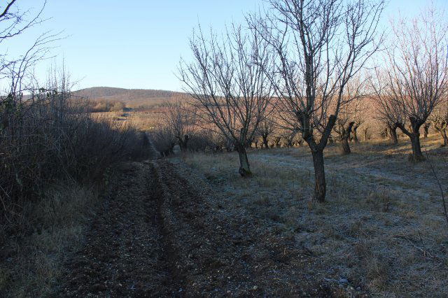 Eladó mezogazdasagi ingatlan, Zánkán 95 M Ft