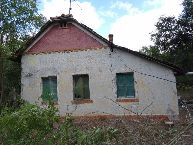 Eladó mezogazdasagi ingatlan, Mórahalmon 5.5 M Ft