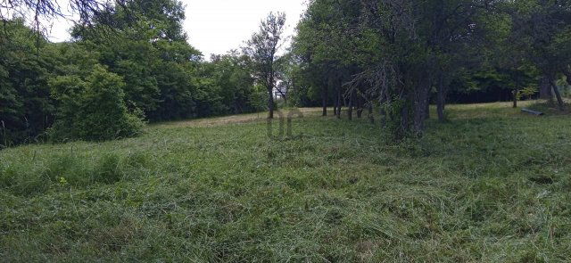 Eladó telek, Dömösön 28 M Ft / költözzbe.hu