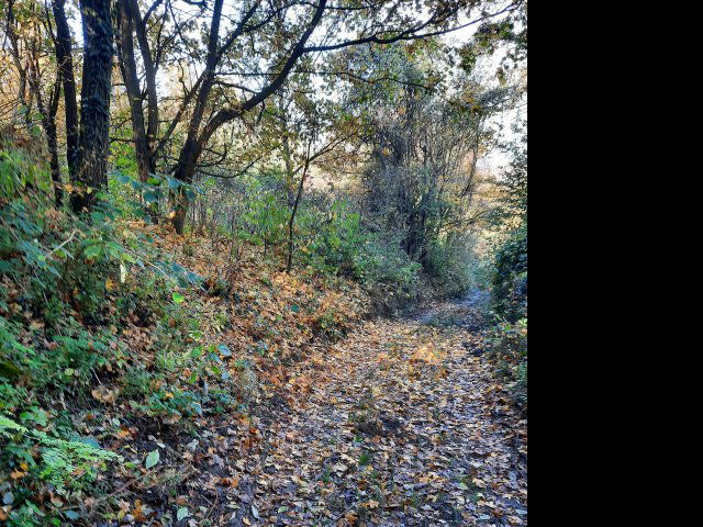 Eladó telek, Visegrádon, Csukavölgy utcában 22 M Ft