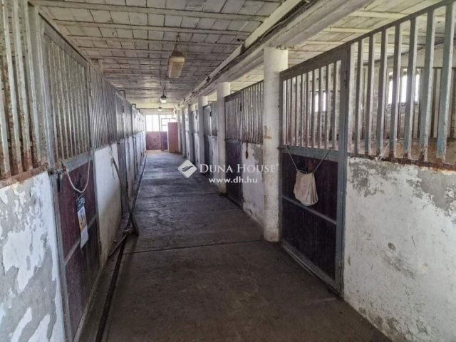 Eladó családi ház, Cegléden 135 M Ft, 1 szobás