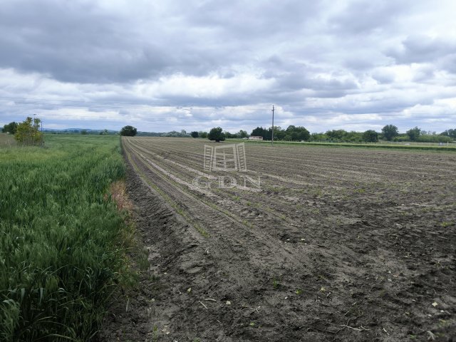 Eladó mezogazdasagi ingatlan, Pócsmegyeren 5.9 M Ft