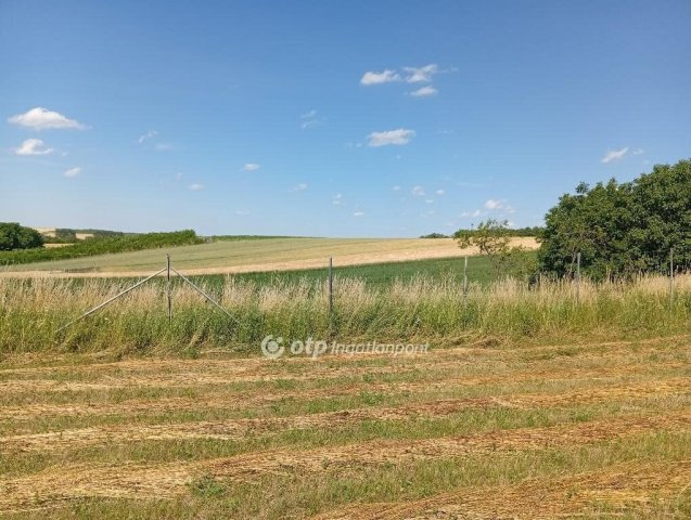 Eladó telek, Csetényben 13.9 M Ft / költözzbe.hu
