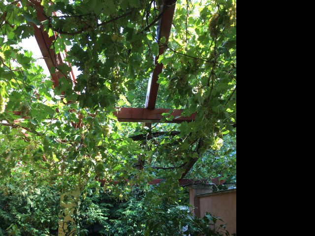 Eladó családi ház, Budapesten, III. kerületben 339 M Ft