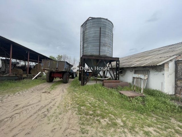 Eladó mezogazdasagi ingatlan, Domaszéken 160 M Ft