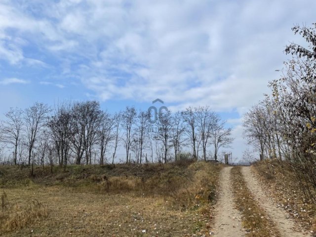 Eladó családi ház, Dunaharasztin 217 M Ft, 3 szobás