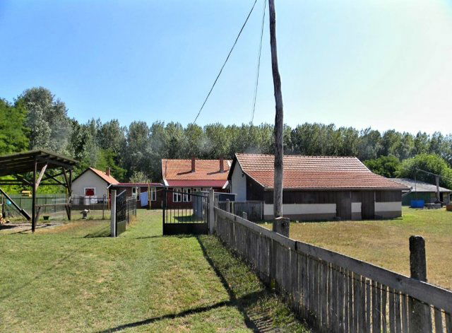 Eladó mezogazdasagi ingatlan, Csengelén 48.678 M Ft