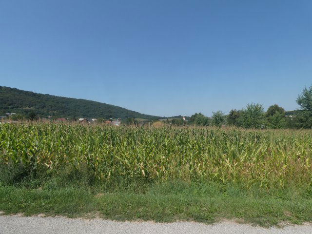 Eladó telek, Tordason 39 M Ft / költözzbe.hu