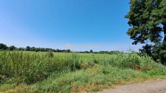 Eladó telek, Gyálon 21 M Ft / költözzbe.hu