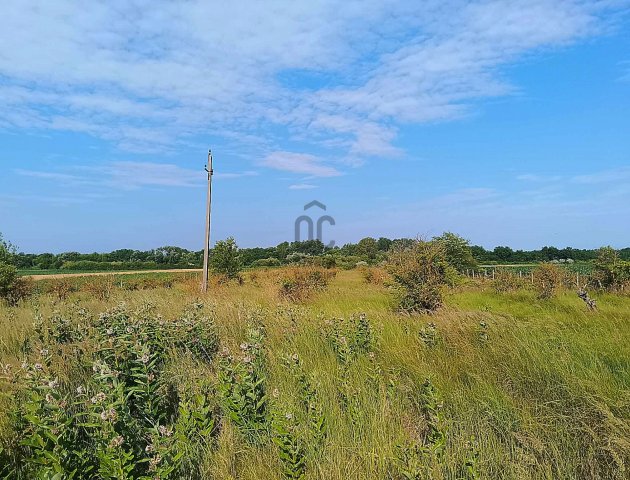 Eladó mezogazdasagi ingatlan, Nyíregyházán 5.99 M Ft