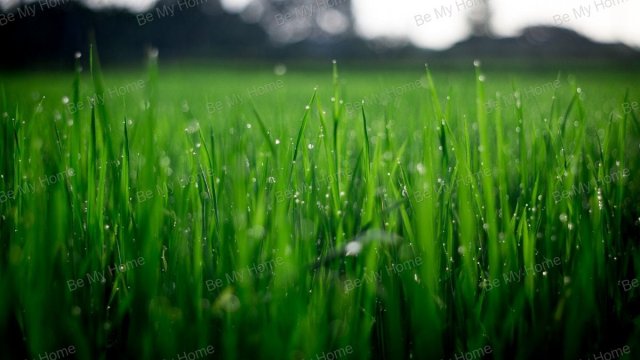 Eladó telek, Őrbottyánban 45 M Ft / költözzbe.hu