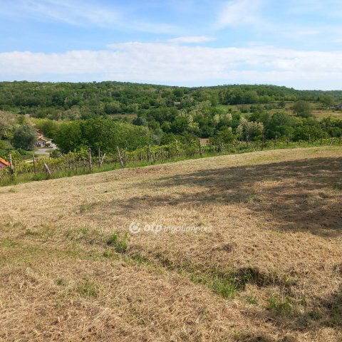 Eladó mezogazdasagi ingatlan, Szekszárdon 27 M Ft