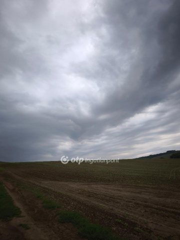 Eladó mezogazdasagi ingatlan, Homrogdon 7 M Ft
