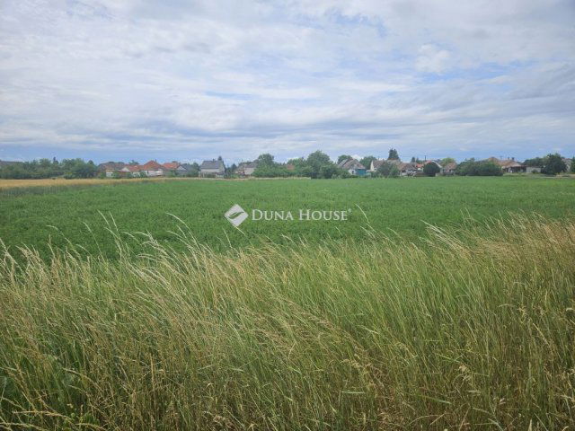 Eladó telek, Koroncón 9.8 M Ft / költözzbe.hu