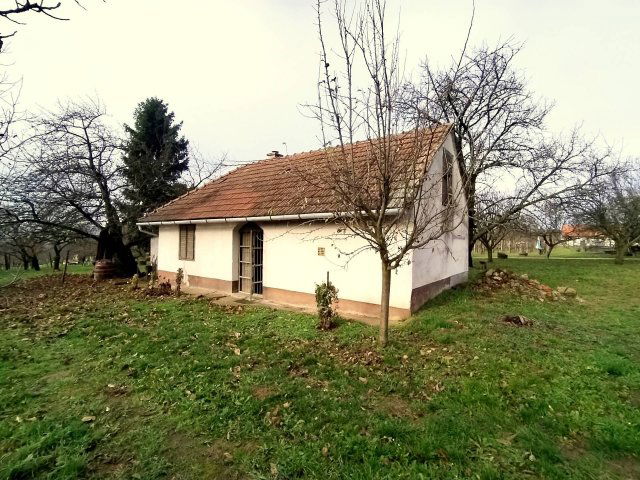 Eladó mezogazdasagi ingatlan, Szentgyörgyváron 15.6 M Ft