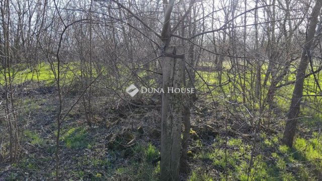 Eladó telek, Kecskeméten 7.7 M Ft / költözzbe.hu